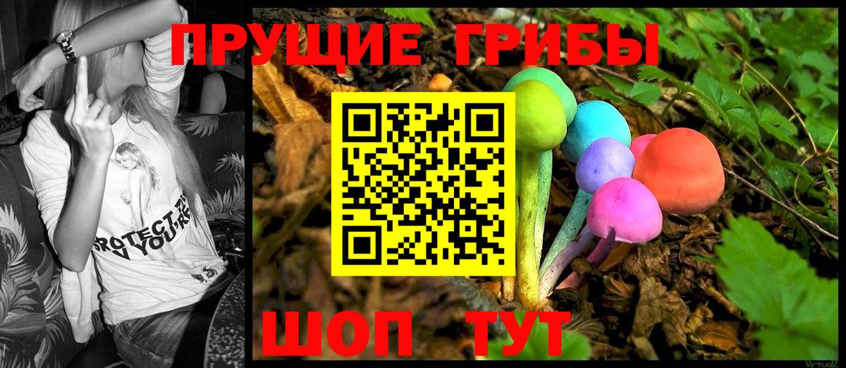 Псилоцибиновые грибы Cubensis Надым